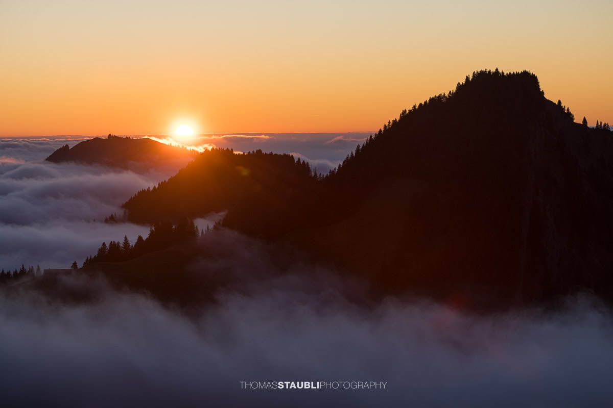 Warme Abendsonne taucht den Kronberg in goldenes Licht, während Nebelschwaden über den bewaldeten Hängen aufsteigen und sich ein stilles Nebelmeer über dem Appenzellerland ausbreitet.