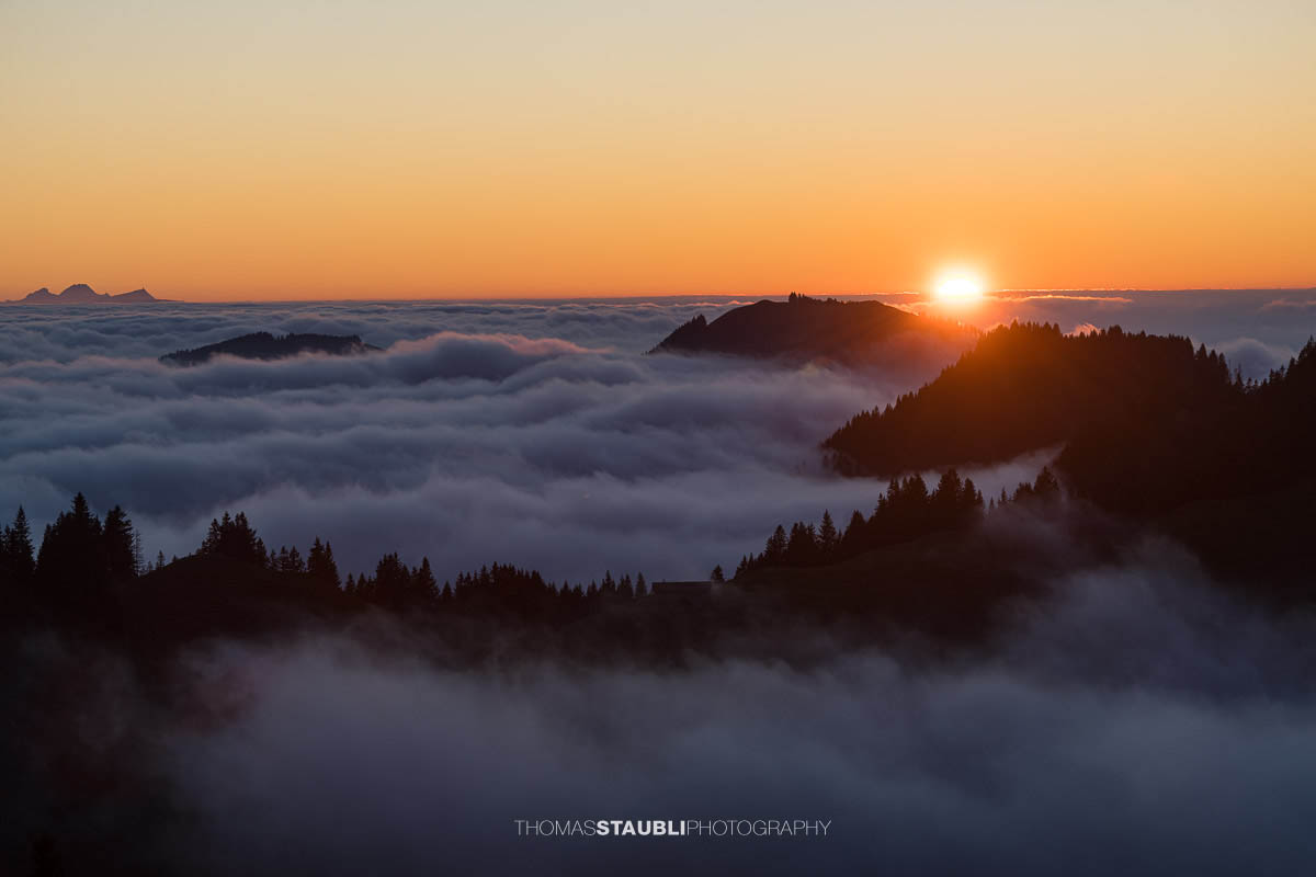 Warme Abendsonne taucht den Kronberg in goldenes Licht, während Nebelschwaden über den bewaldeten Hängen aufsteigen und sich ein stilles Nebelmeer über dem Appenzellerland ausbreitet.