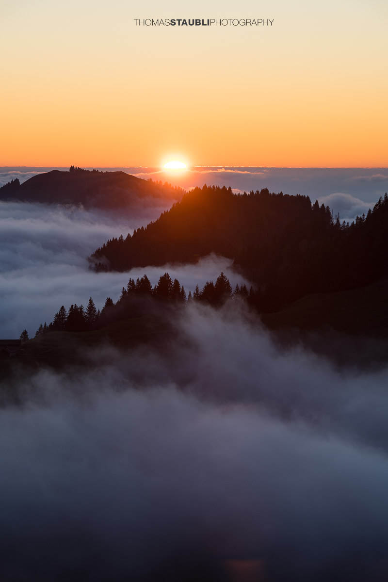 Warme Abendsonne taucht den Kronberg in goldenes Licht, während Nebelschwaden über den bewaldeten Hängen aufsteigen und sich ein stilles Nebelmeer über dem Appenzellerland ausbreitet.