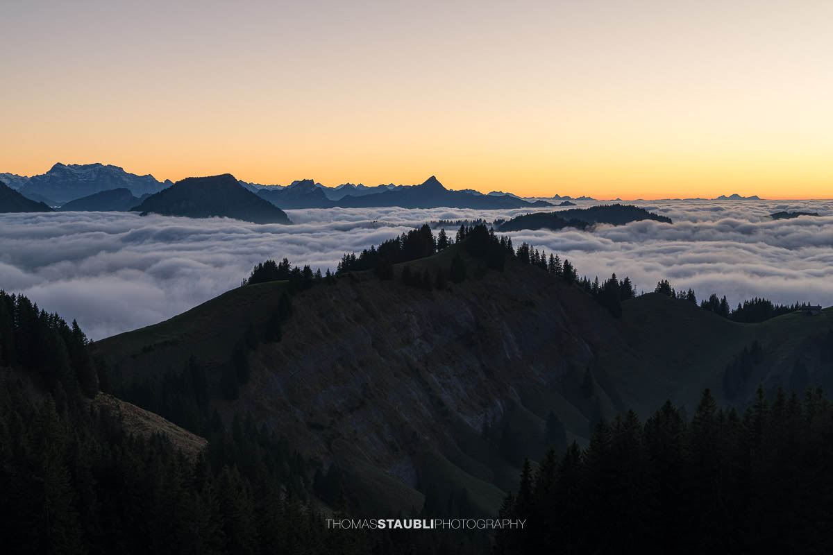 Warme Abendsonne taucht den Kronberg in goldenes Licht, während Nebelschwaden über den bewaldeten Hängen aufsteigen und sich ein stilles Nebelmeer über dem Appenzellerland ausbreitet.