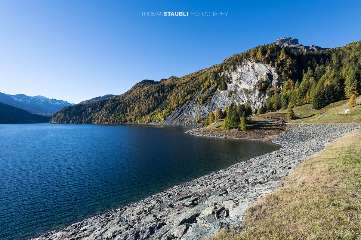 Die Morgensonne steht tief über dem Lai da Marmorera und spiegelt sich im klaren Wasser, während herbstlich gefärbte Lärchen und dunkle Felsflanken das Ufer des Bergsees im oberen Surses säumen.