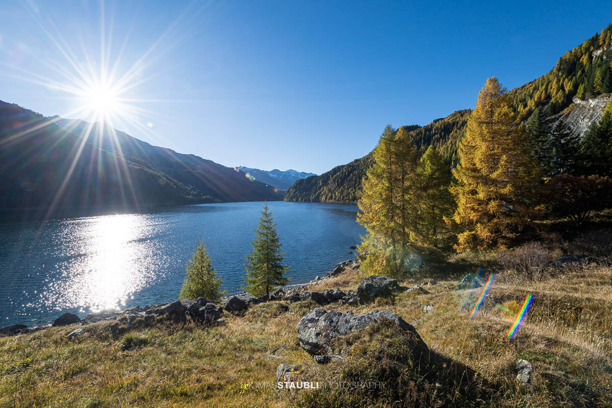 Die Morgensonne steht tief über dem Lai da Marmorera und spiegelt sich im klaren Wasser, während herbstlich gefärbte Lärchen und dunkle Felsflanken das Ufer des Bergsees im oberen Surses säumen.