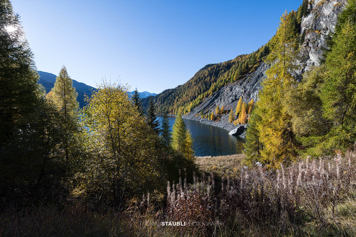 Die Morgensonne steht tief über dem Lai da Marmorera und spiegelt sich im klaren Wasser, während herbstlich gefärbte Lärchen und dunkle Felsflanken das Ufer des Bergsees im oberen Surses säumen.
