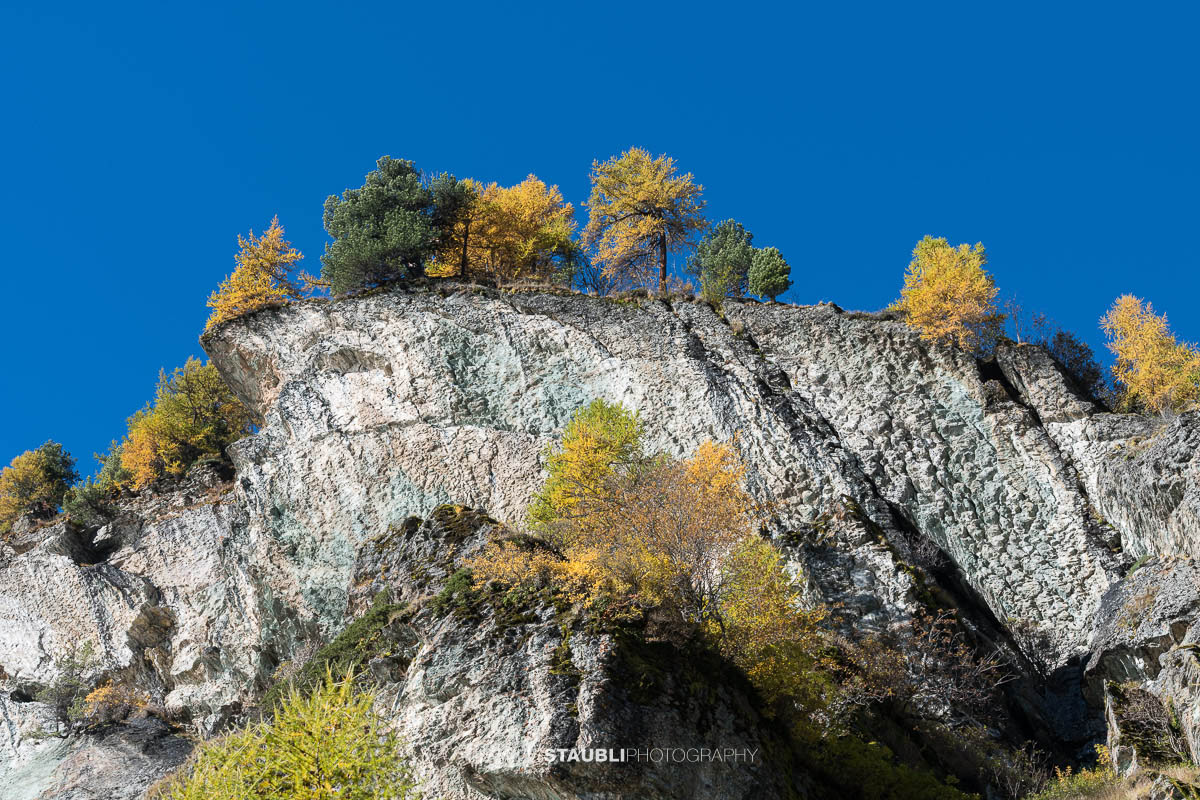 Herbstlich gelb gefärbte Lärchen und dunkle Felsflanken säumen das Ufer des Bergsees.