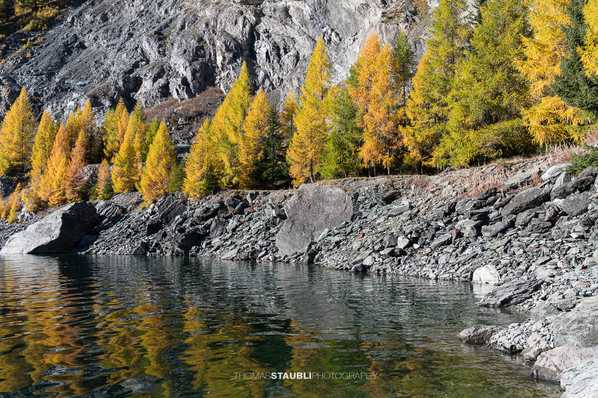 Herbstlich gelb gefärbte Lärchen und dunkle Felsflanken säumen das Ufer des Bergsees.