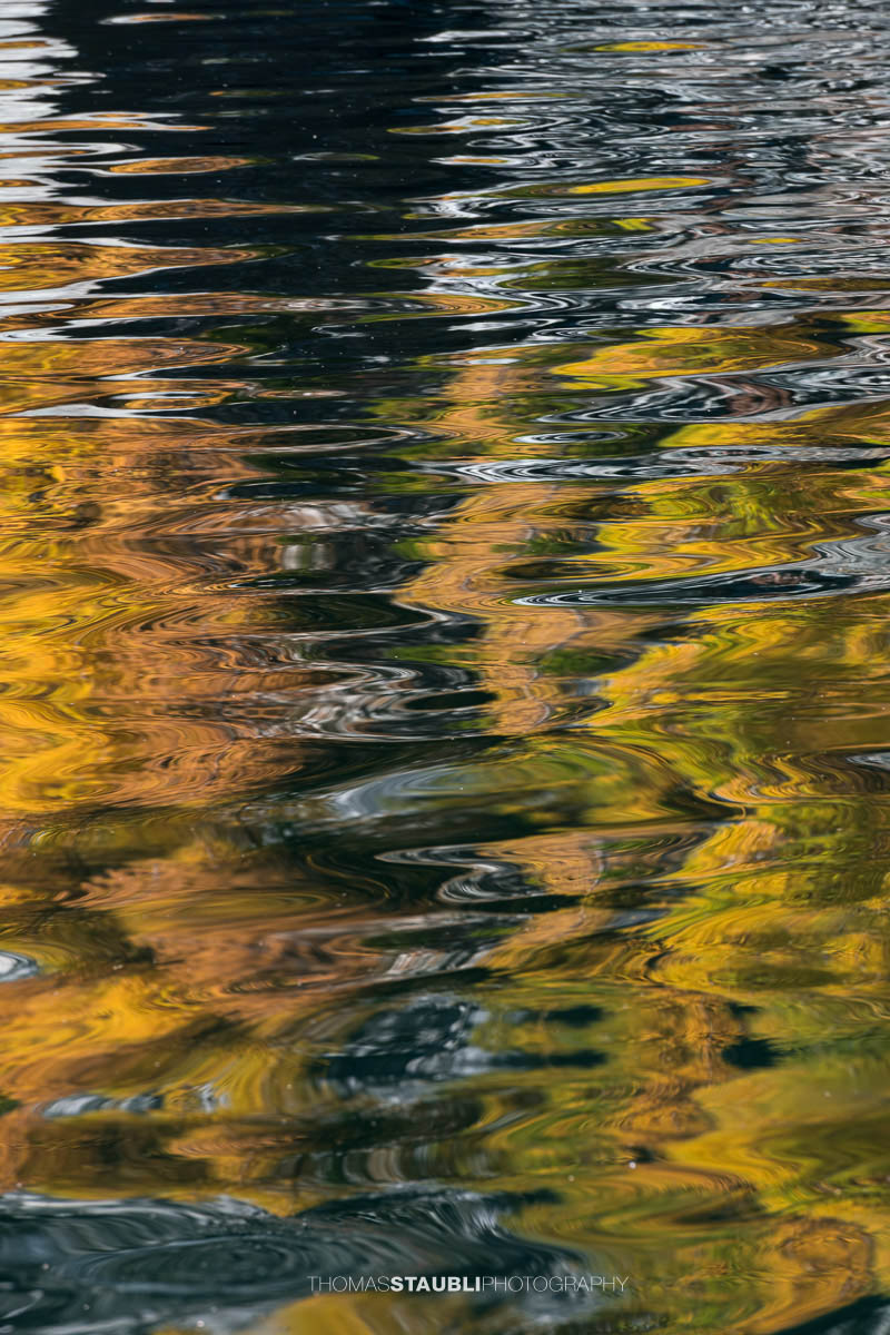 Spiegelung goldgelber Lärchen im leicht bewegten Wasser des Lai da Marmorera, deren Formen sich in sanften Wellen zu abstrakten Mustern auflösen.