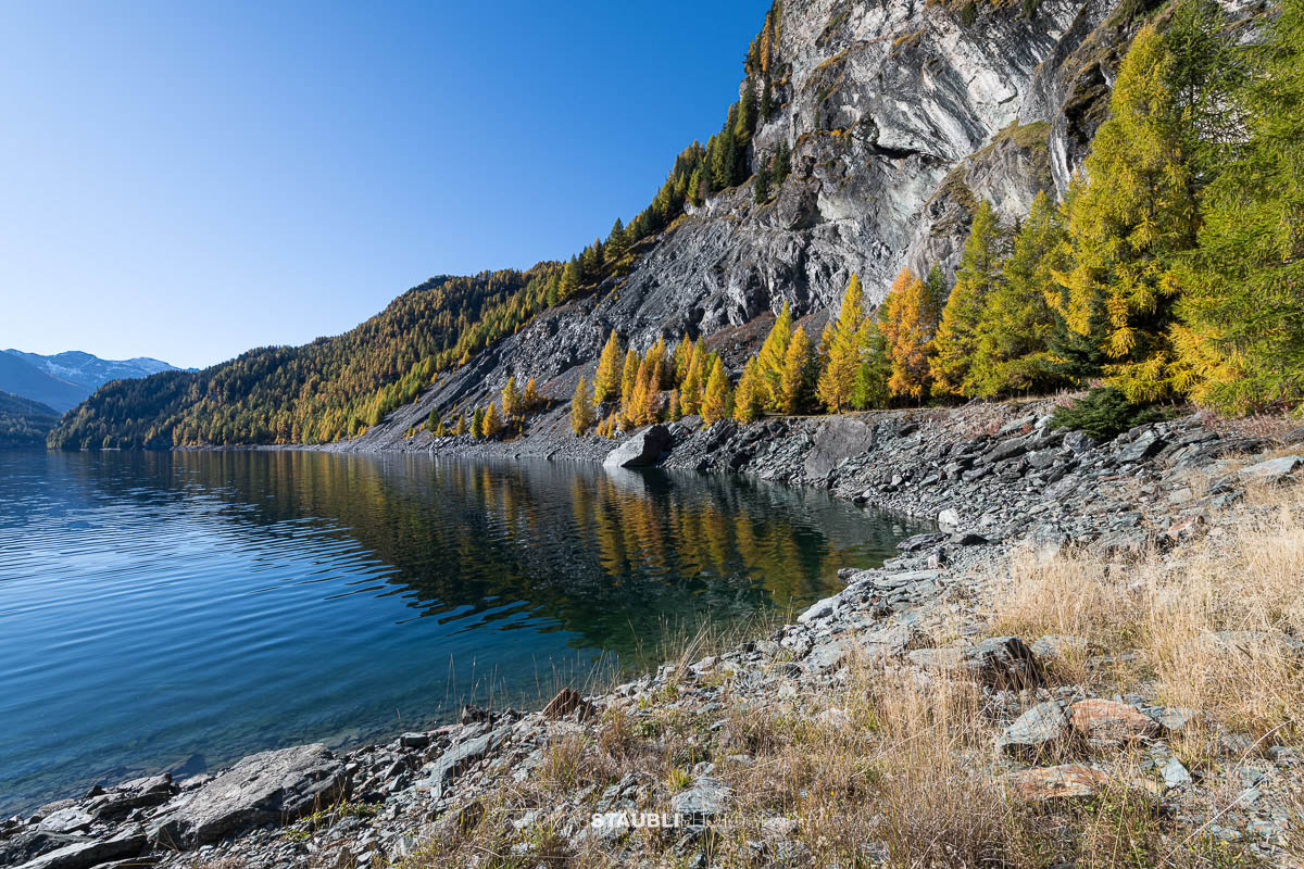 Blick über den Lai da Marmorera im oberen Surses, umgeben von herbstlich gefärbten Lärchenwäldern und dunklen Felsflanken unter klarem Himmel.