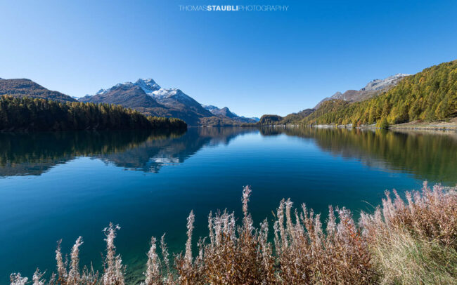 Spiegelung der Berge im Silsersee an einem sonnigen Herbsttag im Oberengadin.