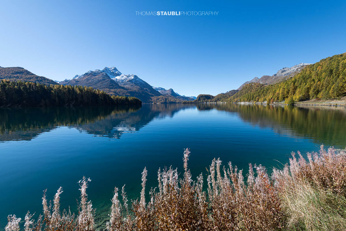 Spiegelung der Berge im Silsersee an einem sonnigen Herbsttag im Oberengadin.