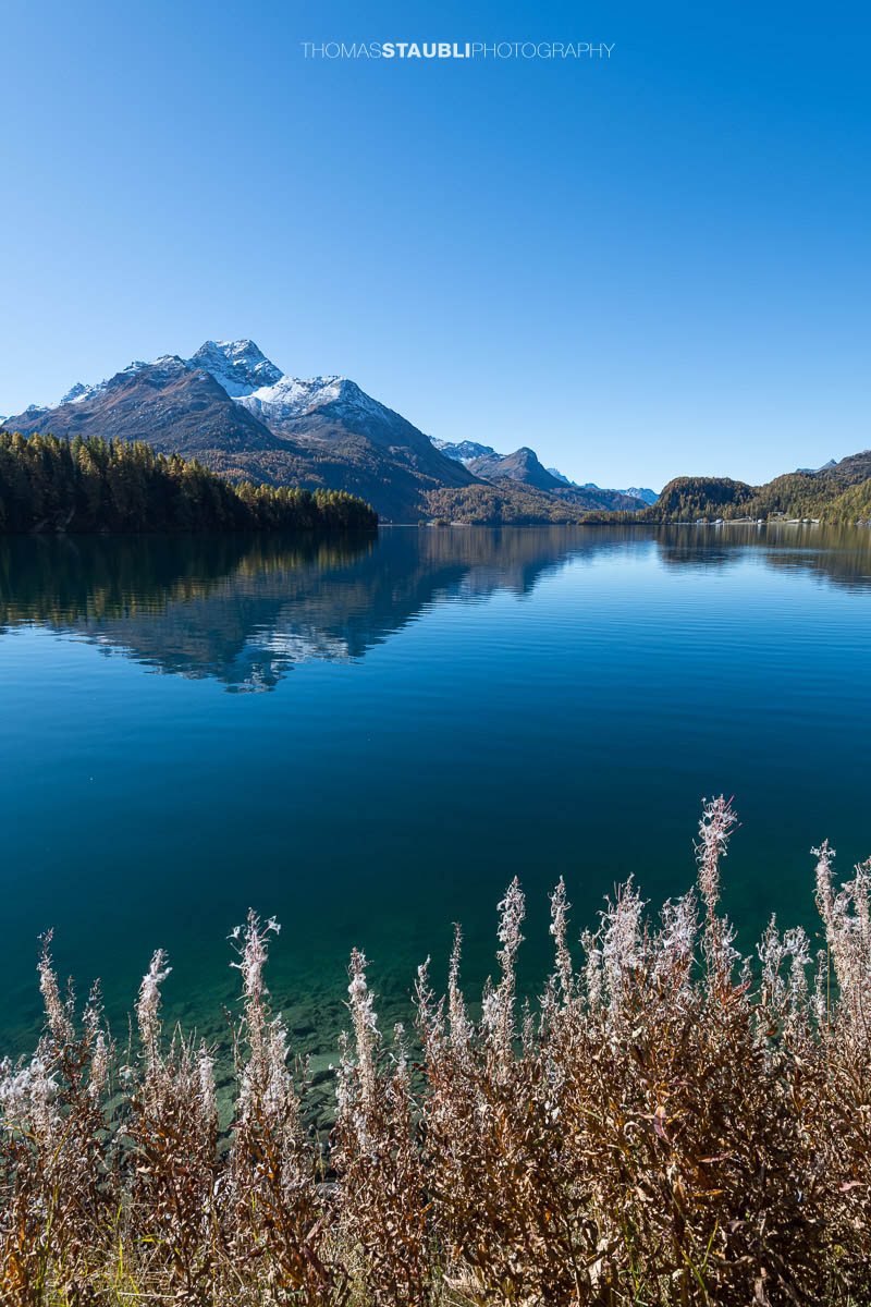 Spiegelung der Berge im Silsersee an einem sonnigen Herbsttag im Oberengadin.