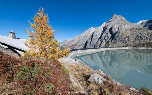 Blick über den türkisfarbenen Albignasee mit Staumauer, herbstlicher Lärche und schneebedeckten Gipfeln im Bergell.