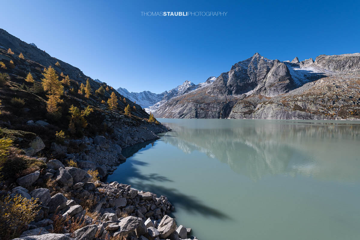 Morgensonne über dem Albignasee im Bergell. Goldene Lärchen säumen das felsige Ufer, während sich die schroffen Gipfel und Gletscher im milchig-türkisfarbenen Wasser spiegeln. Eine klare, kühle Herbststimmung liegt über der alpinen Landschaft.