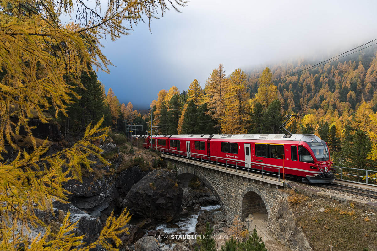 Ein roter Zug der Rhätischen Bahn überquert eine steinerne Brücke im Val Morteratsch. Goldene Lärchen leuchten im diffusen Licht eines herbstlichen Nebels, während die Bahn sich ihren Weg durch die alpine Landschaft bahnt – eine stille Verbindung von Technik und Natur.