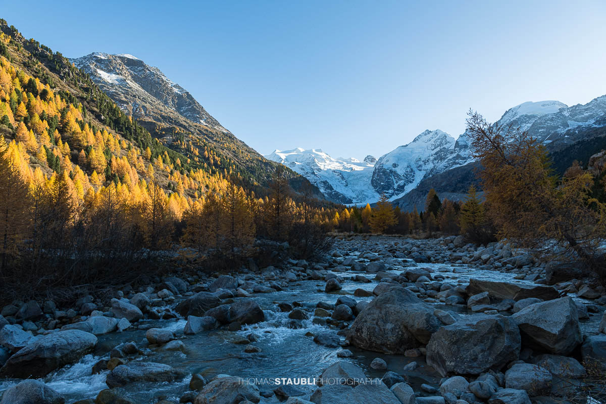 Ein klarer Bergbach fliesst über Felsblöcke durch das Val Morteratsch. Im warmen Herbstlicht leuchten goldene Lärchen, während im Hintergrund die schneebedeckten Gipfel der Berninagruppe aufragen.