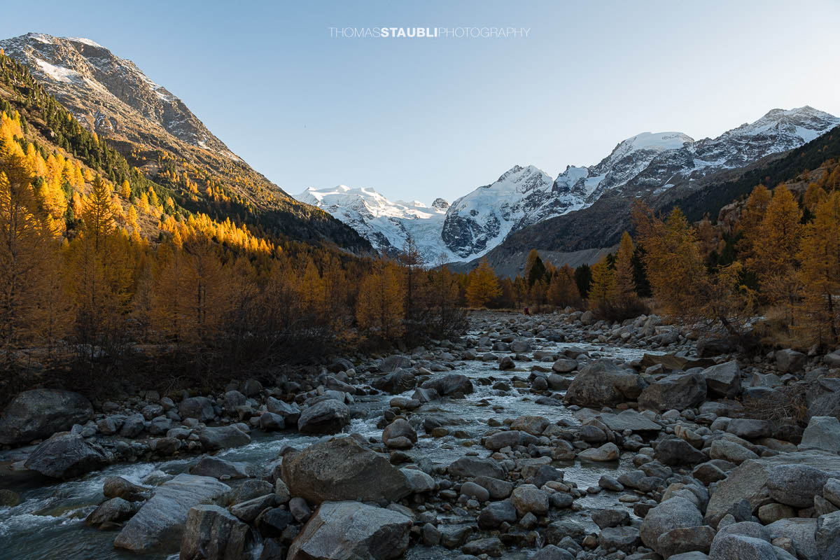 Ein klarer Bergbach fliesst über Felsblöcke durch das Val Morteratsch. Im warmen Herbstlicht leuchten goldene Lärchen, während im Hintergrund die schneebedeckten Gipfel der Berninagruppe aufragen.