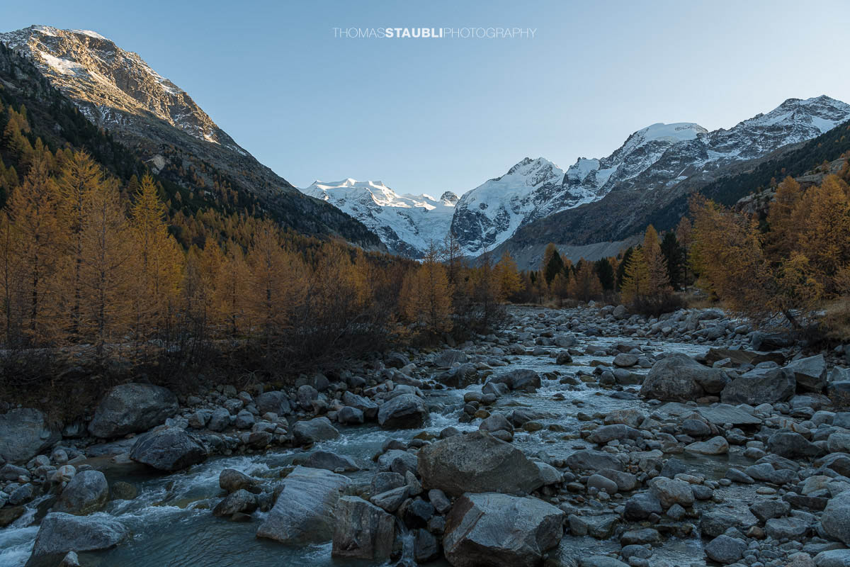 Ein klarer Bergbach fliesst über Felsblöcke durch das Val Morteratsch. Im warmen Herbstlicht leuchten goldene Lärchen, während im Hintergrund die schneebedeckten Gipfel der Berninagruppe aufragen.