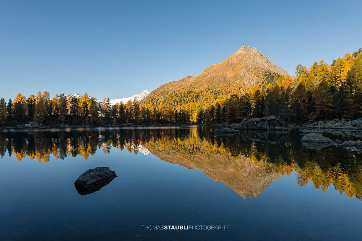Spiegelglatter Lai da Saoseo im Herbstlicht mit leuchtenden Lärchen, klarer Wasseroberfläche und Bergspiegelung im Val da Camp.