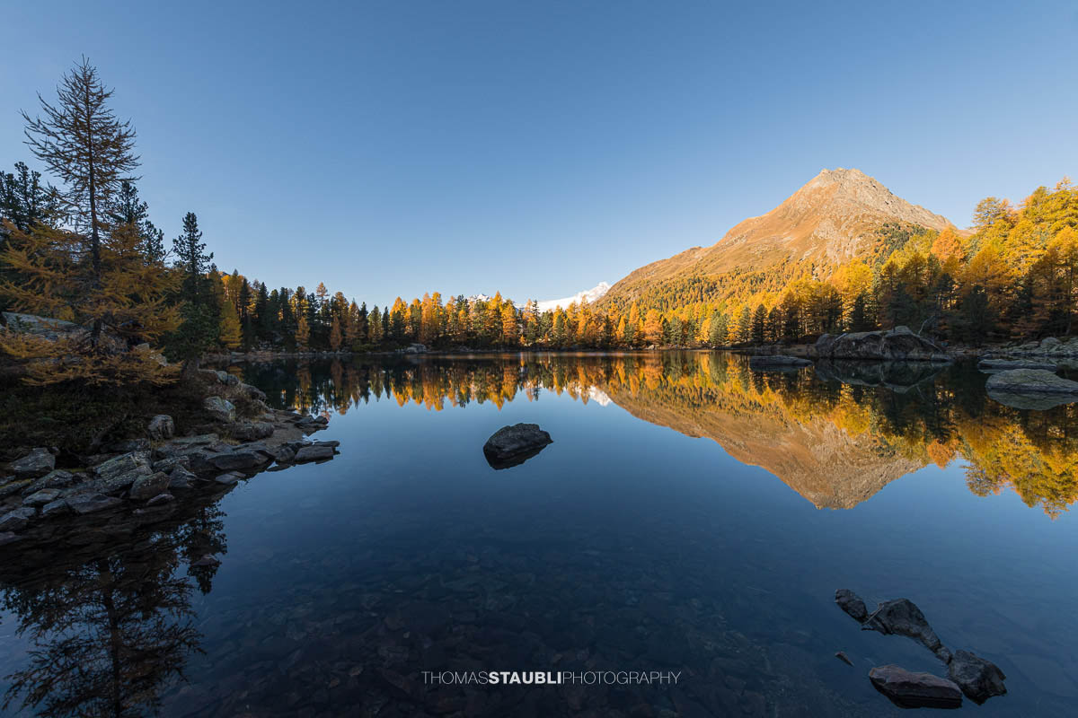 Spiegelglatter Lai da Saoseo im Herbstlicht mit leuchtenden Lärchen, klarer Wasseroberfläche und Bergspiegelung im Val da Camp.