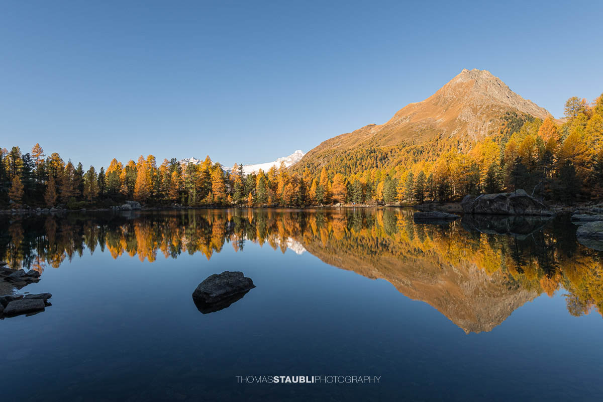 Spiegelglatter Lai da Saoseo im Herbstlicht mit leuchtenden Lärchen, klarer Wasseroberfläche und Bergspiegelung im Val da Camp.