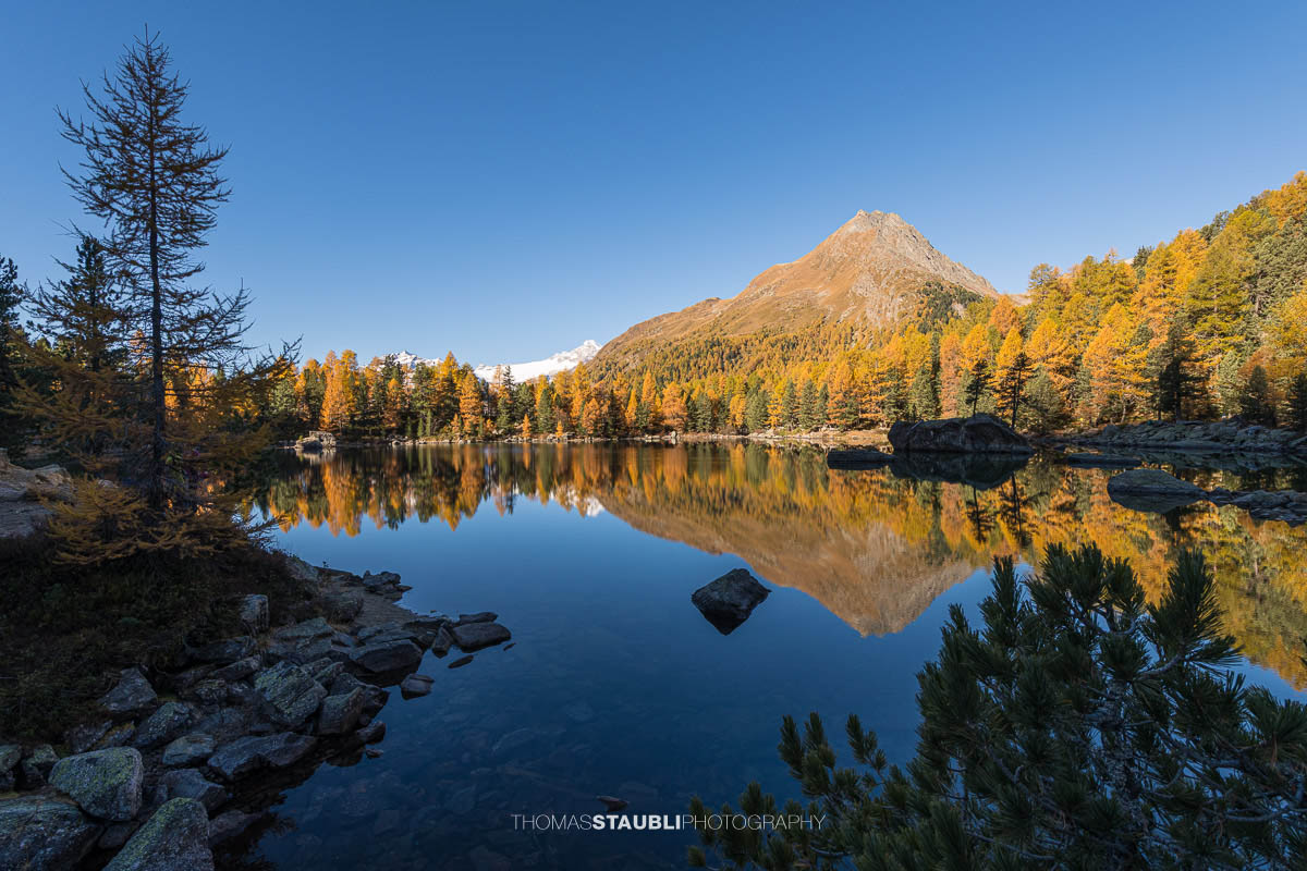Spiegelglatter Lai da Saoseo im Herbstlicht mit leuchtenden Lärchen, klarer Wasseroberfläche und Bergspiegelung im Val da Camp.