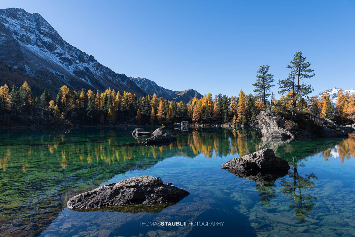 Klares türkisfarbenes Wasser des Lai da Saoseo mit sichtbarem Steinboden, kleinen Felsinseln und herbstlich goldenen Lärchen vor schneebedeckten Gipfeln im Val da Camp.