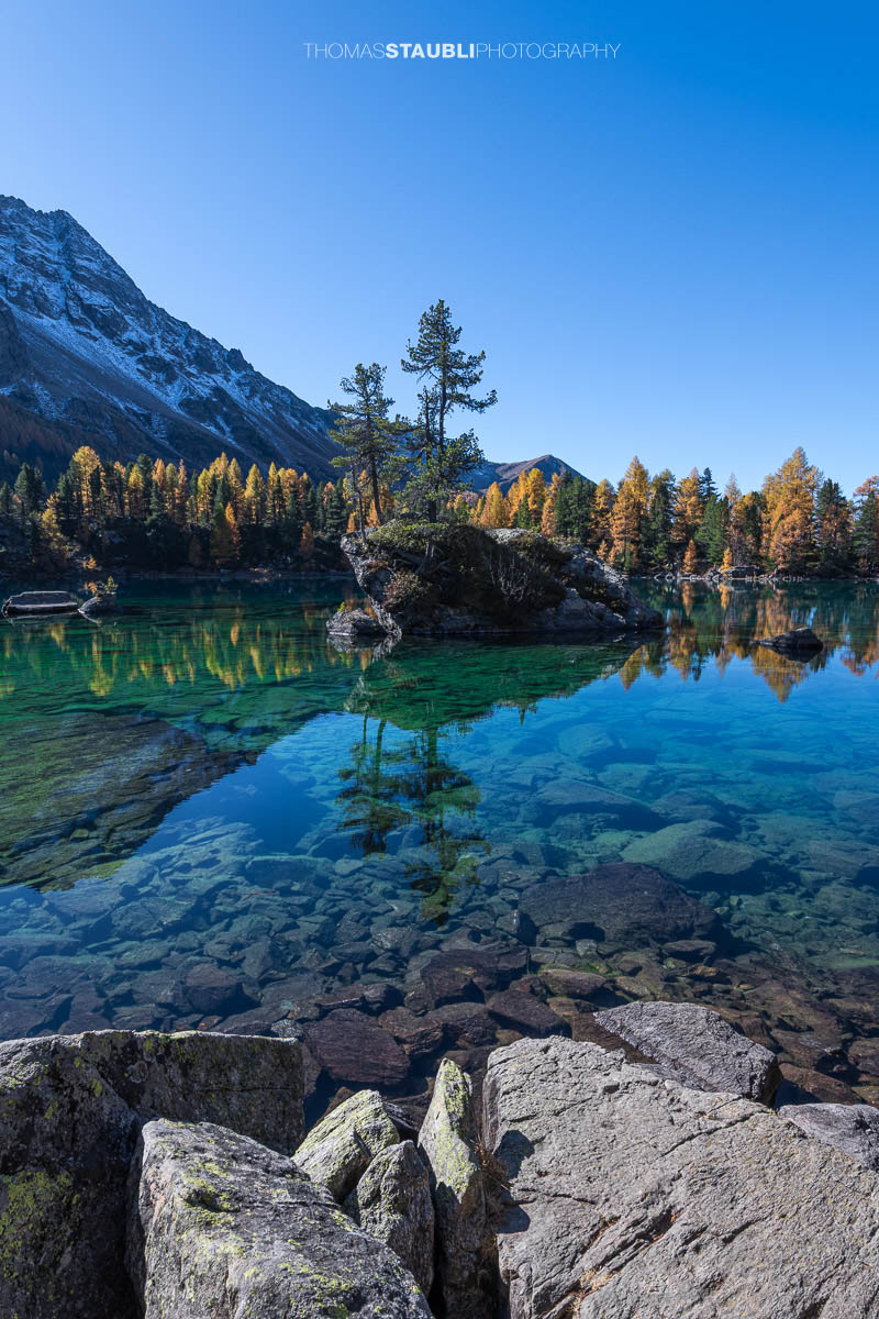 Klares türkisfarbenes Wasser des Lai da Saoseo mit sichtbarem Steinboden, kleinen Felsinseln und herbstlich goldenen Lärchen vor schneebedeckten Gipfeln im Val da Camp.