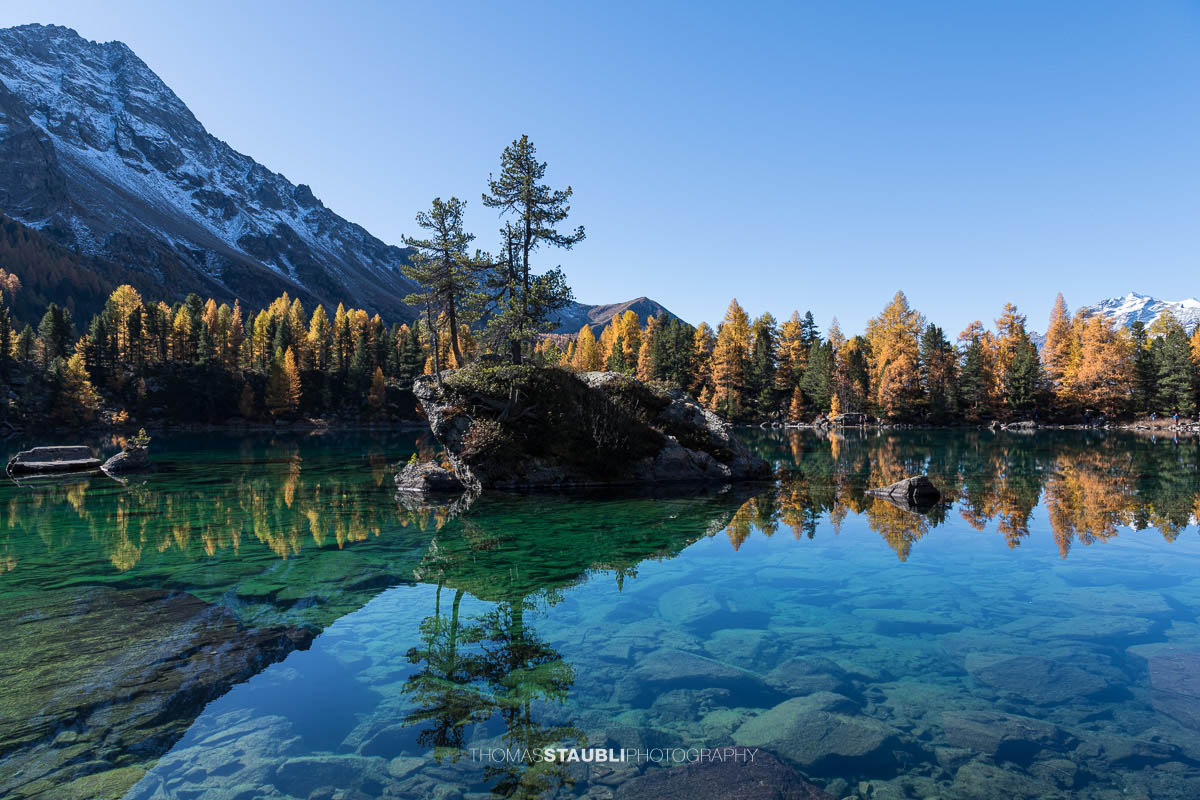 Klares türkisfarbenes Wasser des Lai da Saoseo mit sichtbarem Steinboden, kleinen Felsinseln und herbstlich goldenen Lärchen vor schneebedeckten Gipfeln im Val da Camp.
