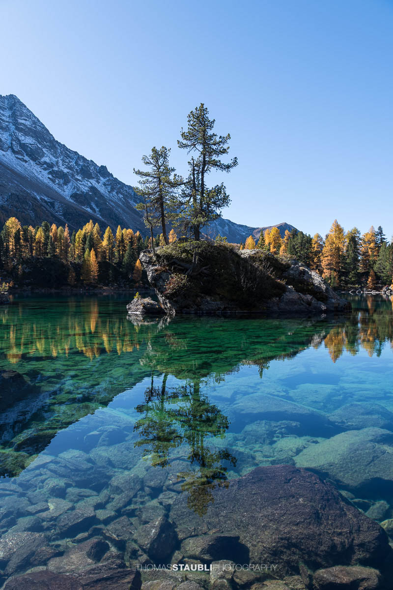 Klares türkisfarbenes Wasser des Lai da Saoseo mit sichtbarem Steinboden, kleinen Felsinseln und herbstlich goldenen Lärchen vor schneebedeckten Gipfeln im Val da Camp.