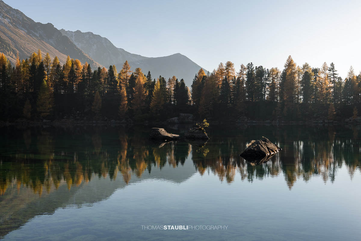 Ruhiger Lai da Saoseo im warmen Abendlicht mit klarer Spiegelung von Lärchenwäldern, Felsinseln und schneebedeckten Bergen im Val da Camp.