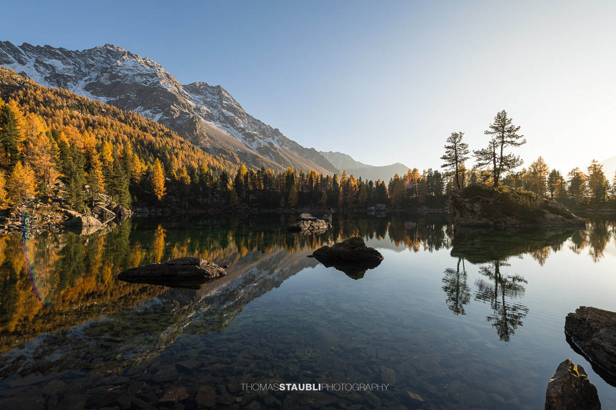 Ruhiger Lai da Saoseo im warmen Abendlicht mit klarer Spiegelung von Lärchenwäldern, Felsinseln und schneebedeckten Bergen im Val da Camp.