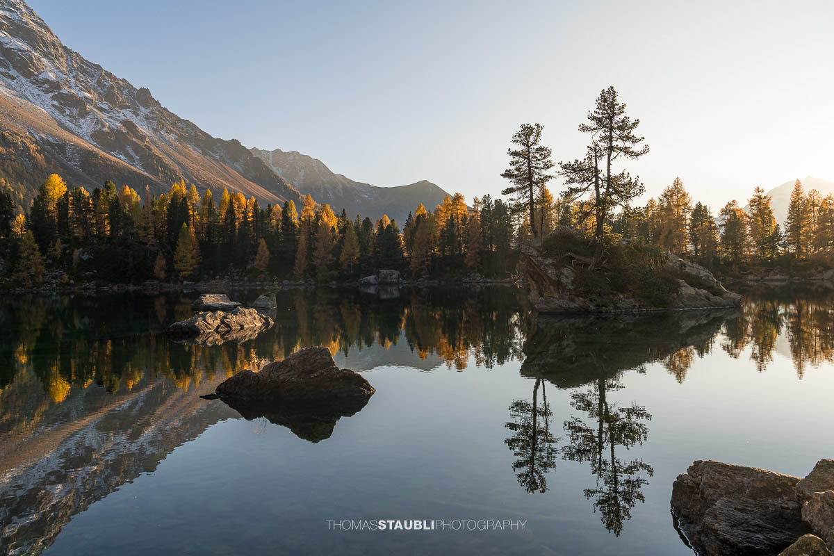 Ruhiger Lai da Saoseo im warmen Abendlicht mit klarer Spiegelung von Lärchenwäldern, Felsinseln und schneebedeckten Bergen im Val da Camp.