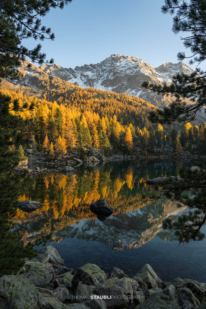 Ruhiger Lai da Saoseo im warmen Abendlicht mit klarer Spiegelung von Lärchenwäldern, Felsinseln und schneebedeckten Bergen im Val da Camp.