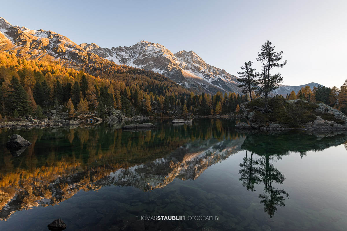 Ruhiger Lai da Saoseo im warmen Abendlicht mit klarer Spiegelung von Lärchenwäldern, Felsinseln und schneebedeckten Bergen im Val da Camp.