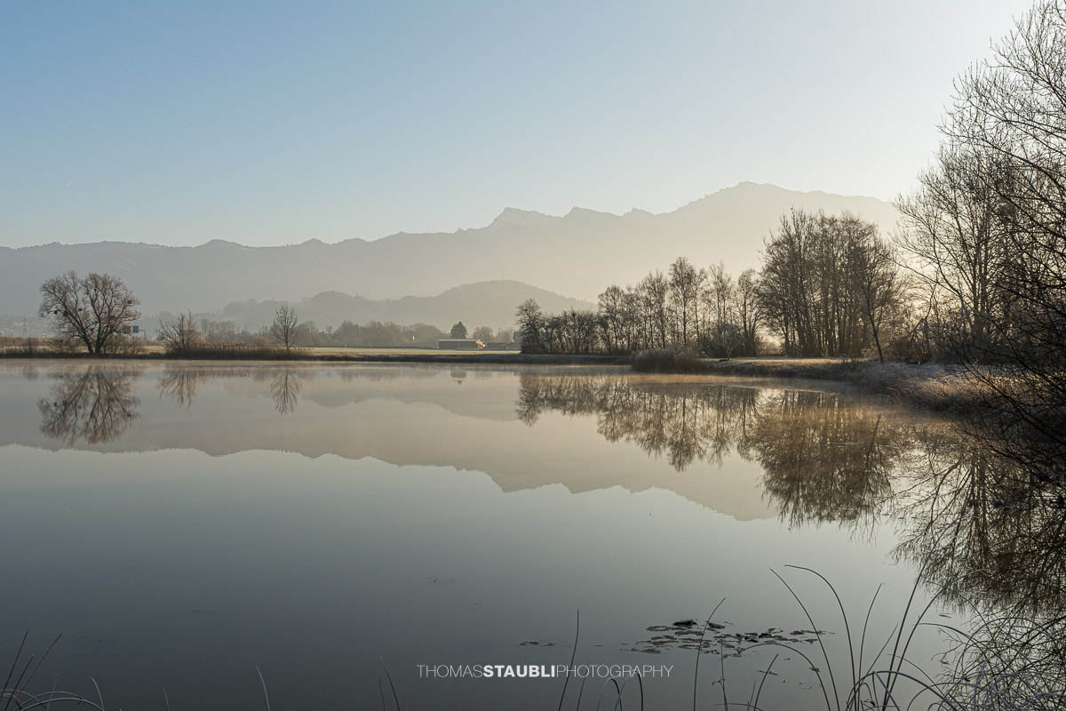 Ruhige Wasserfläche des Laichsees im Kanton Schwyz mit Spiegelung von Bäumen und Feldern, dahinter die sanften Umrisse der Berge im Dunst des frühen Morgens.