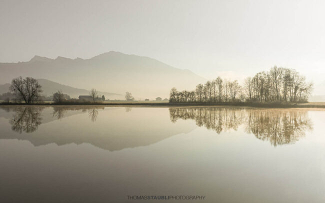 Ruhige Wasserfläche des Laichsees im Kanton Schwyz mit Spiegelung von Bäumen und Feldern, dahinter die sanften Umrisse der Berge im Dunst des frühen Morgens.