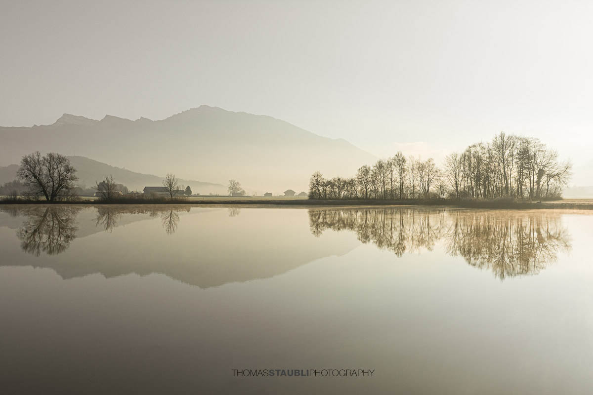 Ruhige Wasserfläche des Laichsees im Kanton Schwyz mit Spiegelung von Bäumen und Feldern, dahinter die sanften Umrisse der Berge im Dunst des frühen Morgens.