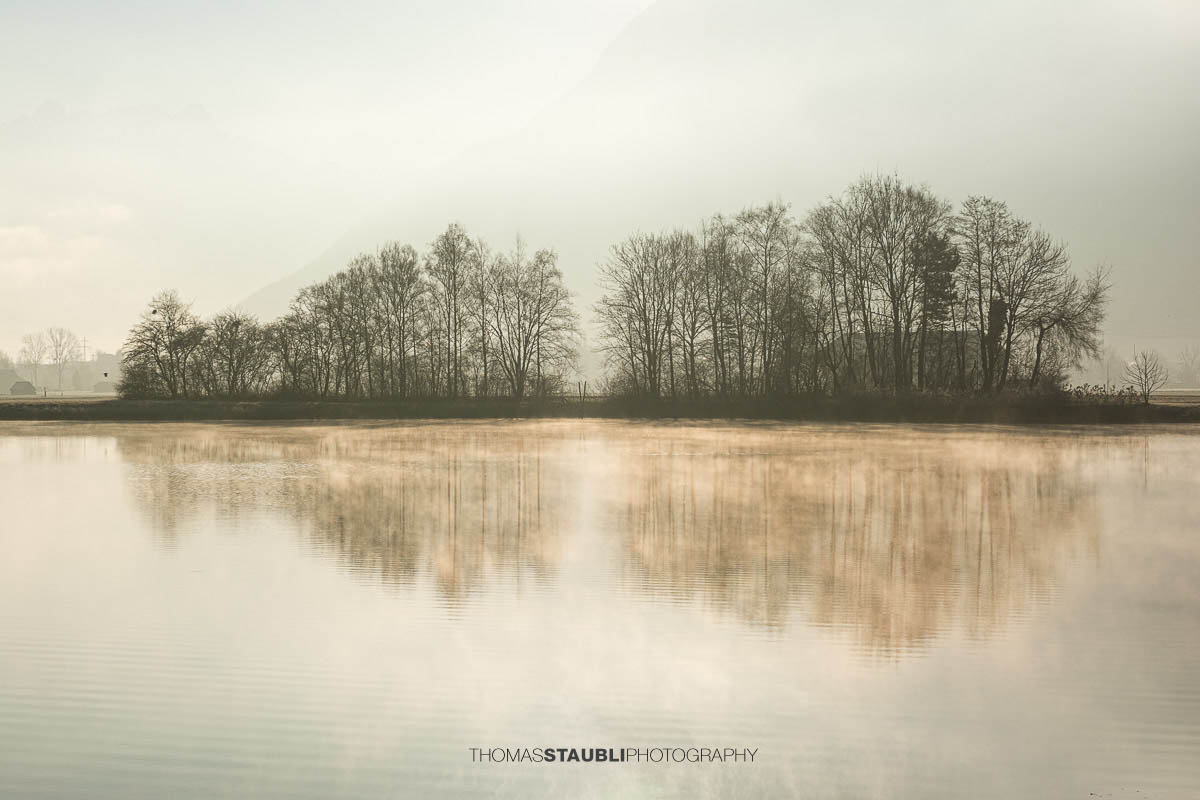 Ruhige Wasserfläche des Laichsees im Kanton Schwyz mit Spiegelung von Bäumen und Feldern, dahinter die sanften Umrisse der Berge im Dunst des frühen Morgens.