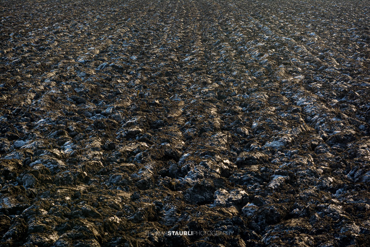 Mit Raureif bedecktes und gepflügtes Ackerfeld