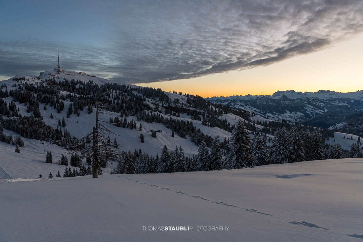 Winterliche Morgendämmerung auf der Rigi: Blick vom Rigi Rotstock zum verschneiten Rigi Kulm, mit sanften Hängen, verschneiten Wäldern und einem farbigen Horizont.