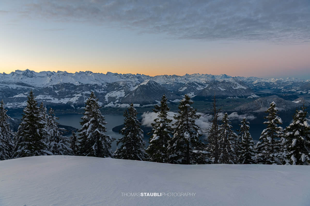 Verschneite Landschaft am Rigi Rotstock mit schneebedeckten Tannen im Vordergrund, Blick auf die Bergkette und den Vierwaldstättersee in der sanften Dämmerung.