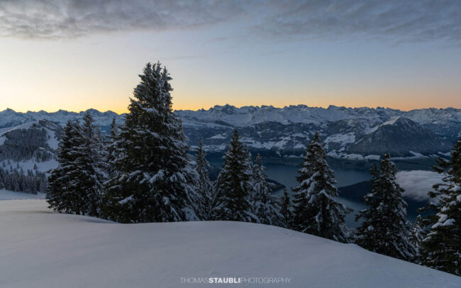 Verschneite Landschaft am Rigi Rotstock mit schneebedeckten Tannen im Vordergrund, Blick auf die Bergkette und den Vierwaldstättersee in der sanften Dämmerung.