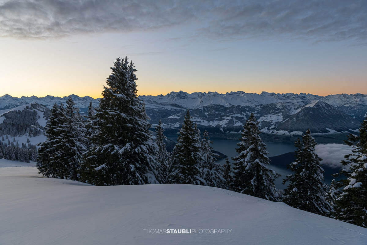 Verschneite Landschaft am Rigi Rotstock mit schneebedeckten Tannen im Vordergrund, Blick auf die Bergkette und den Vierwaldstättersee in der sanften Dämmerung.