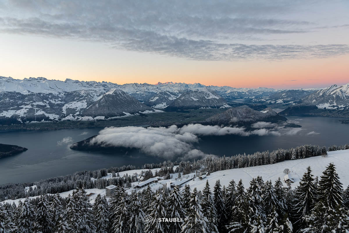 Winterliche Panoramaaufnahme vom Rigi Rotstock mit verschneiten Tannen im Vordergrund, Blick über den Vierwaldstättersee und tief liegende Wolken, umgeben von den schneebedeckten Alpen im zarten Morgenlicht.