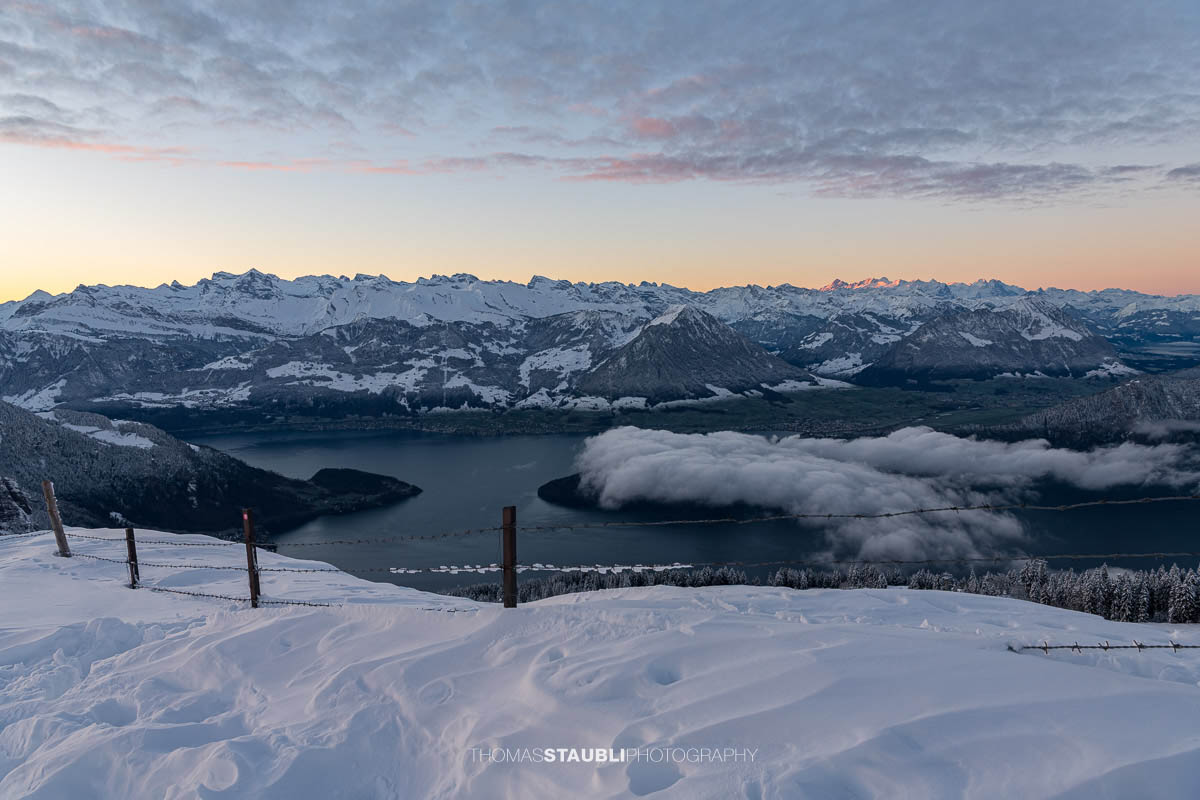 Winterliche Panoramaaufnahme vom Rigi Rotstock mit verschneiten Tannen im Vordergrund, Blick über den Vierwaldstättersee und tief liegende Wolken, umgeben von den schneebedeckten Alpen im zarten Morgenlicht.