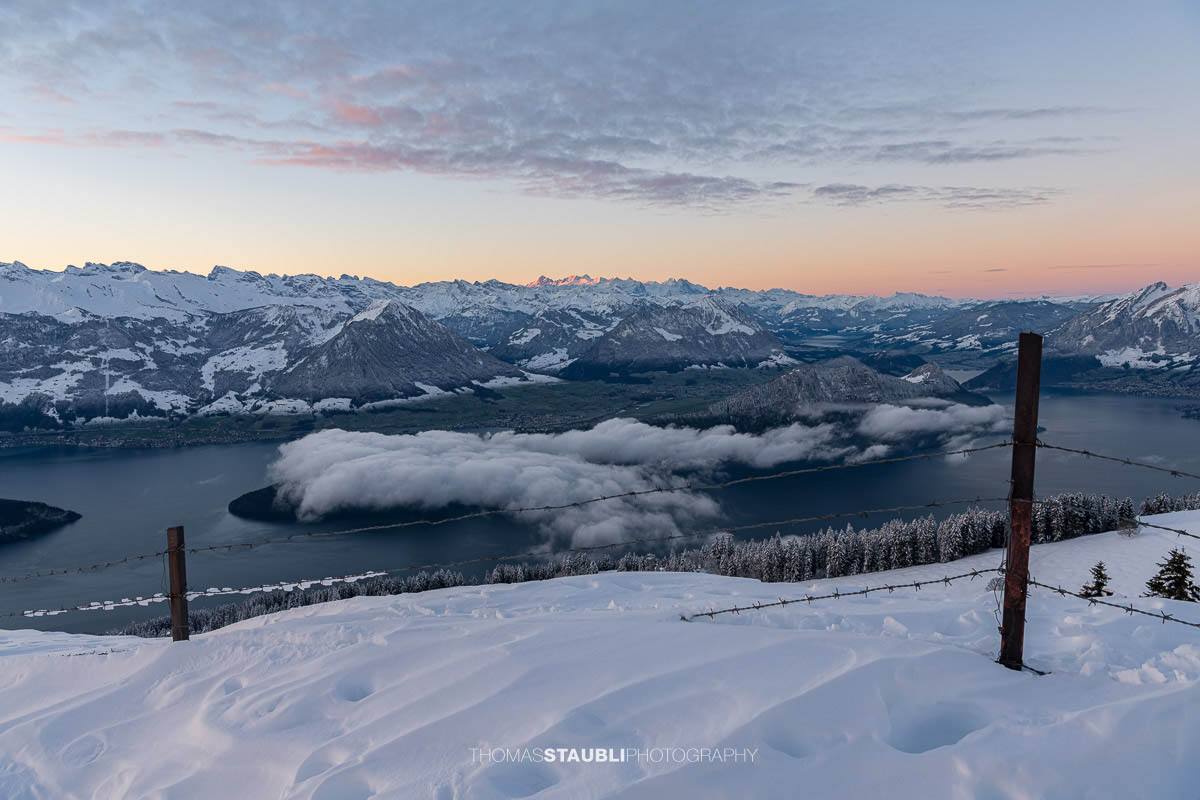Winterliche Panoramaaufnahme vom Rigi Rotstock mit verschneiten Tannen im Vordergrund, Blick über den Vierwaldstättersee und tief liegende Wolken, umgeben von den schneebedeckten Alpen im zarten Morgenlicht.