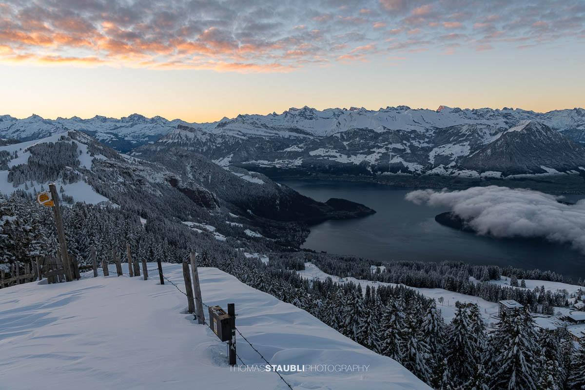 Winterliche Panoramaaufnahme vom Rigi Rotstock mit verschneiten Tannen im Vordergrund, Blick über den Vierwaldstättersee und tief liegende Wolken, umgeben von den schneebedeckten Alpen im zarten Morgenlicht.
