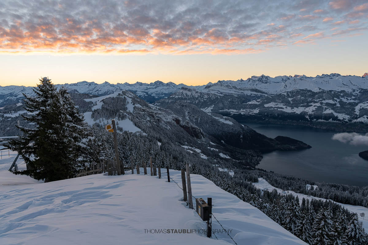 Winterliche Panoramaaufnahme vom Rigi Rotstock mit verschneiten Tannen im Vordergrund, Blick über den Vierwaldstättersee und tief liegende Wolken, umgeben von den schneebedeckten Alpen im zarten Morgenlicht.