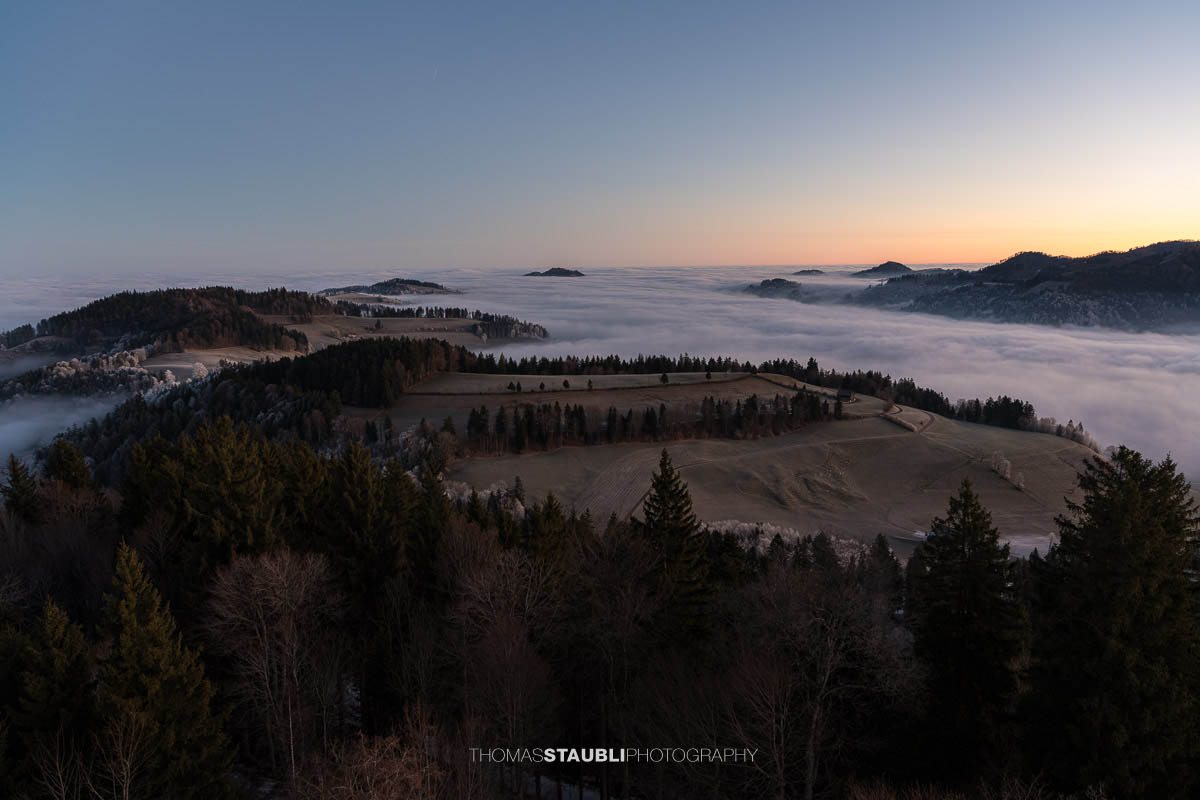 Blick vom Bachtel bei Hinwil Richtung Norden in der Morgendämmerung, mit hügeliger Voralpenlandschaft, Waldkuppen und ausgedehntem Nebelmeer im Hintergrund.