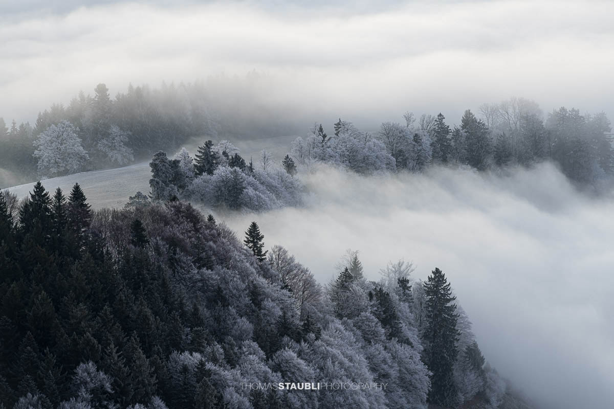 Gestaffelte Nebelbänke ziehen durch eine bewaldete Hügellandschaft, mit Raureif überzogenen Bäumen.