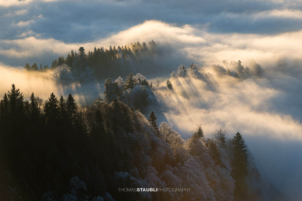 Gestaffelte Nebelbänke ziehen durch eine bewaldete Hügellandschaft, mit Raureif überzogenen Bäumen und warmem Morgenlicht, aufgenommen in der Voralpenregion.